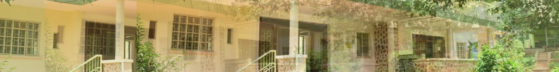 7Hills International School